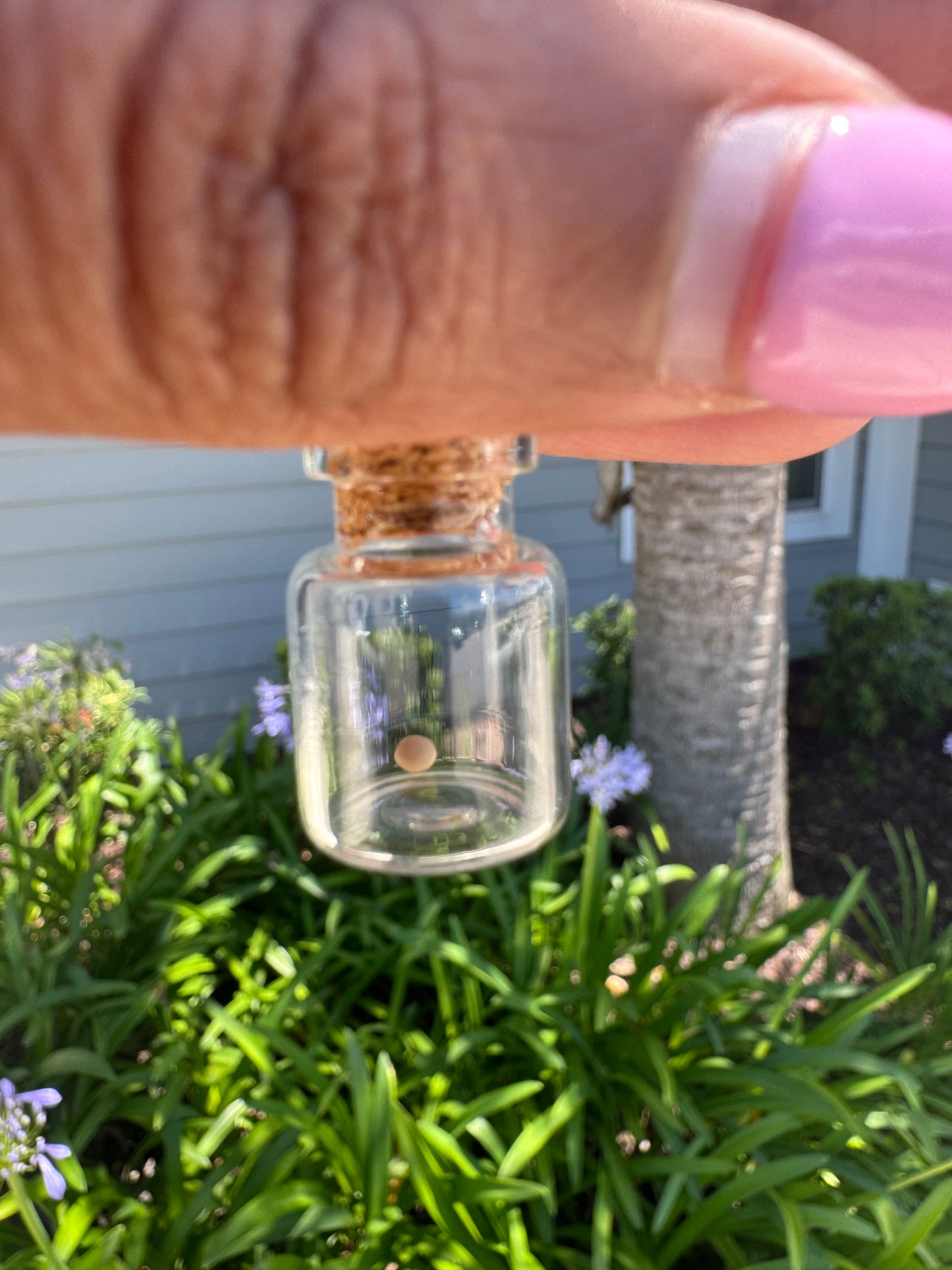 Faith as Small as a Mustard Seed Keychain